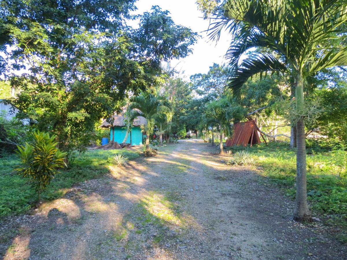 فيلا Conhuasفي Cabanas Calakmul المظهر الخارجي الصورة