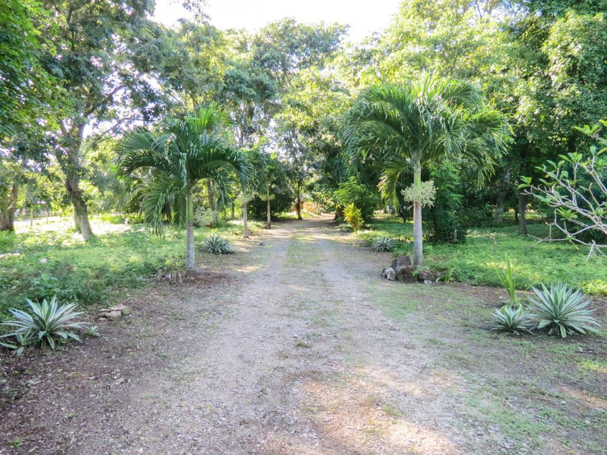 فيلا Conhuasفي Cabanas Calakmul المظهر الخارجي الصورة