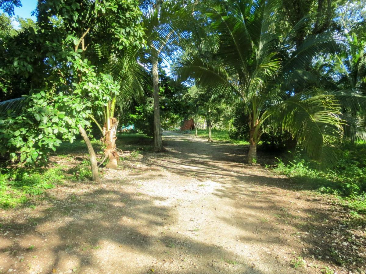 فيلا Conhuasفي Cabanas Calakmul المظهر الخارجي الصورة